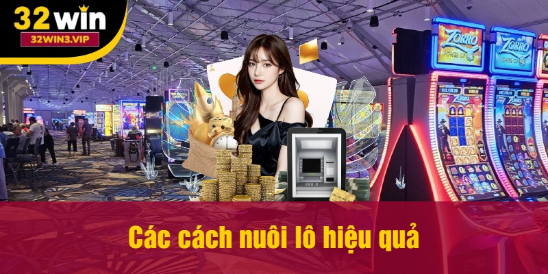 Các cách nuôi lô hiệu quả