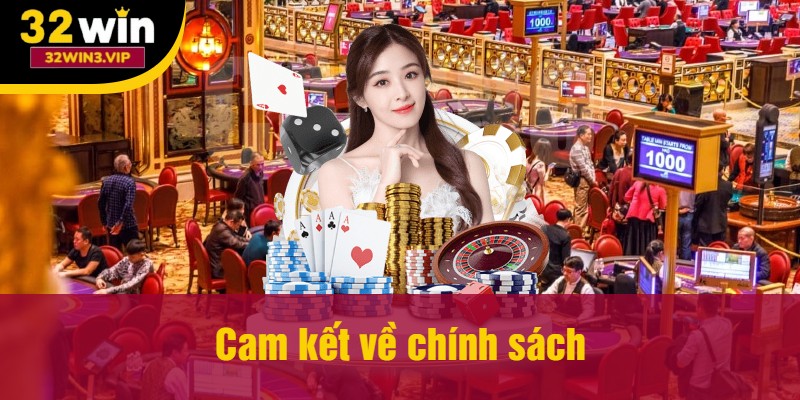 Cam kết về chính sách